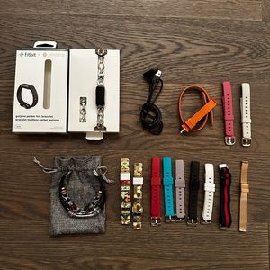 Fitbit Luxe Orchid Platinum Stainless Steel Gorjana